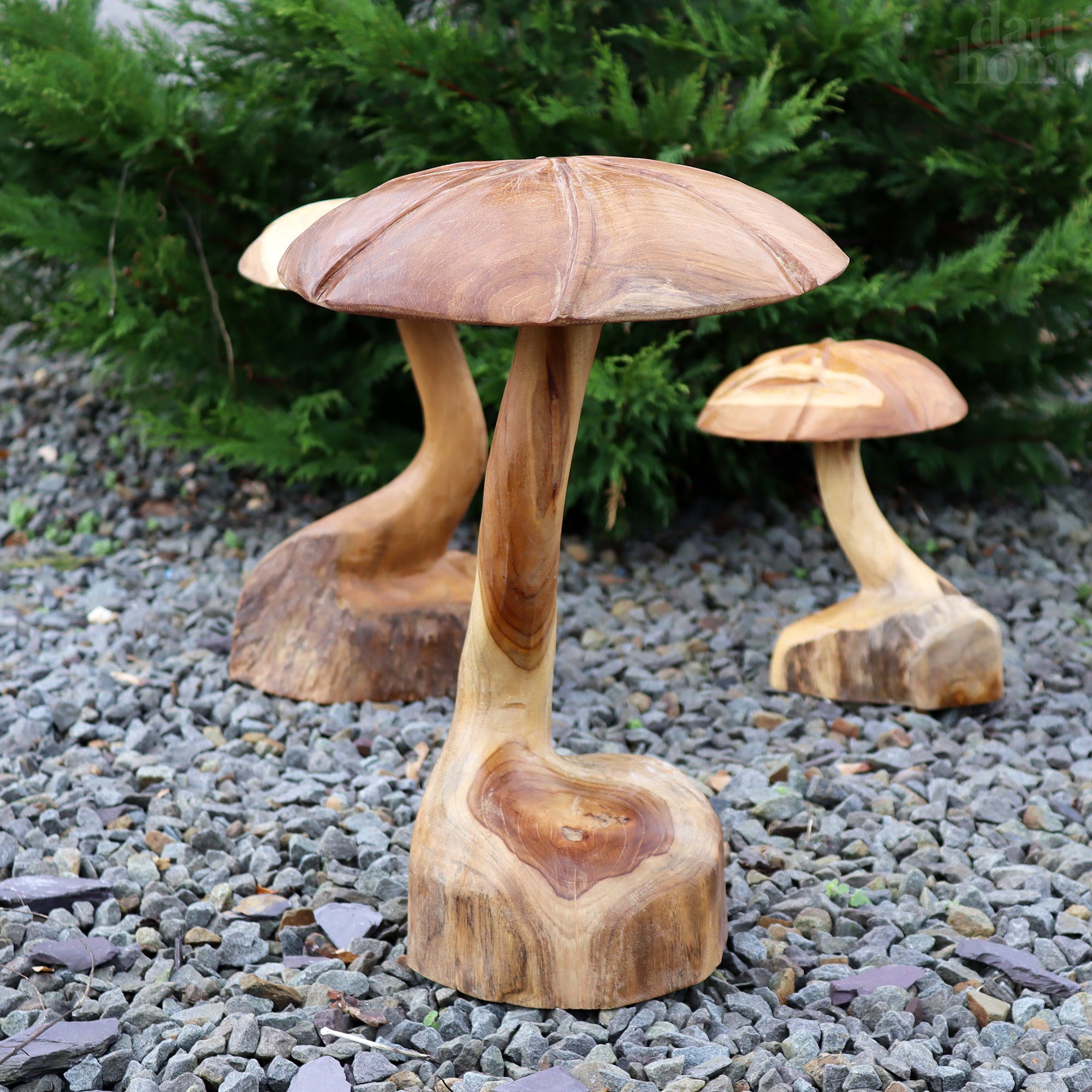Set Of 3 Teak Root Wild Mushrooms