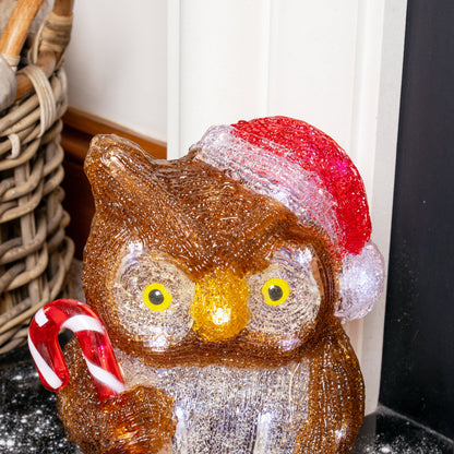 Acrylic Light Up Owl Figure