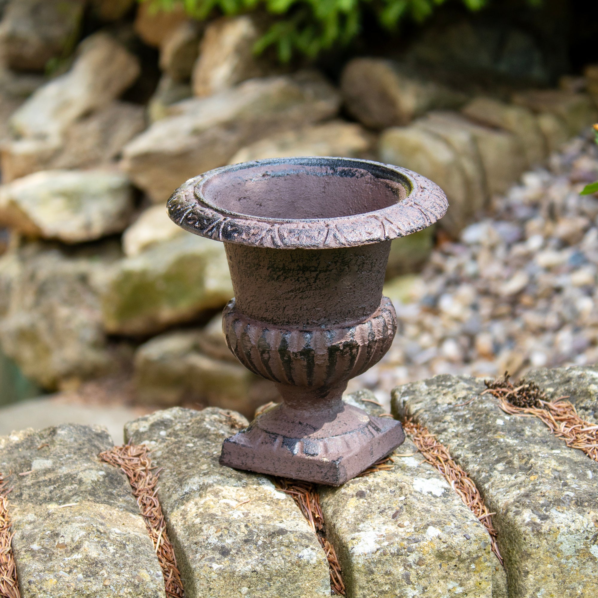 Cast Iron Urn Planter