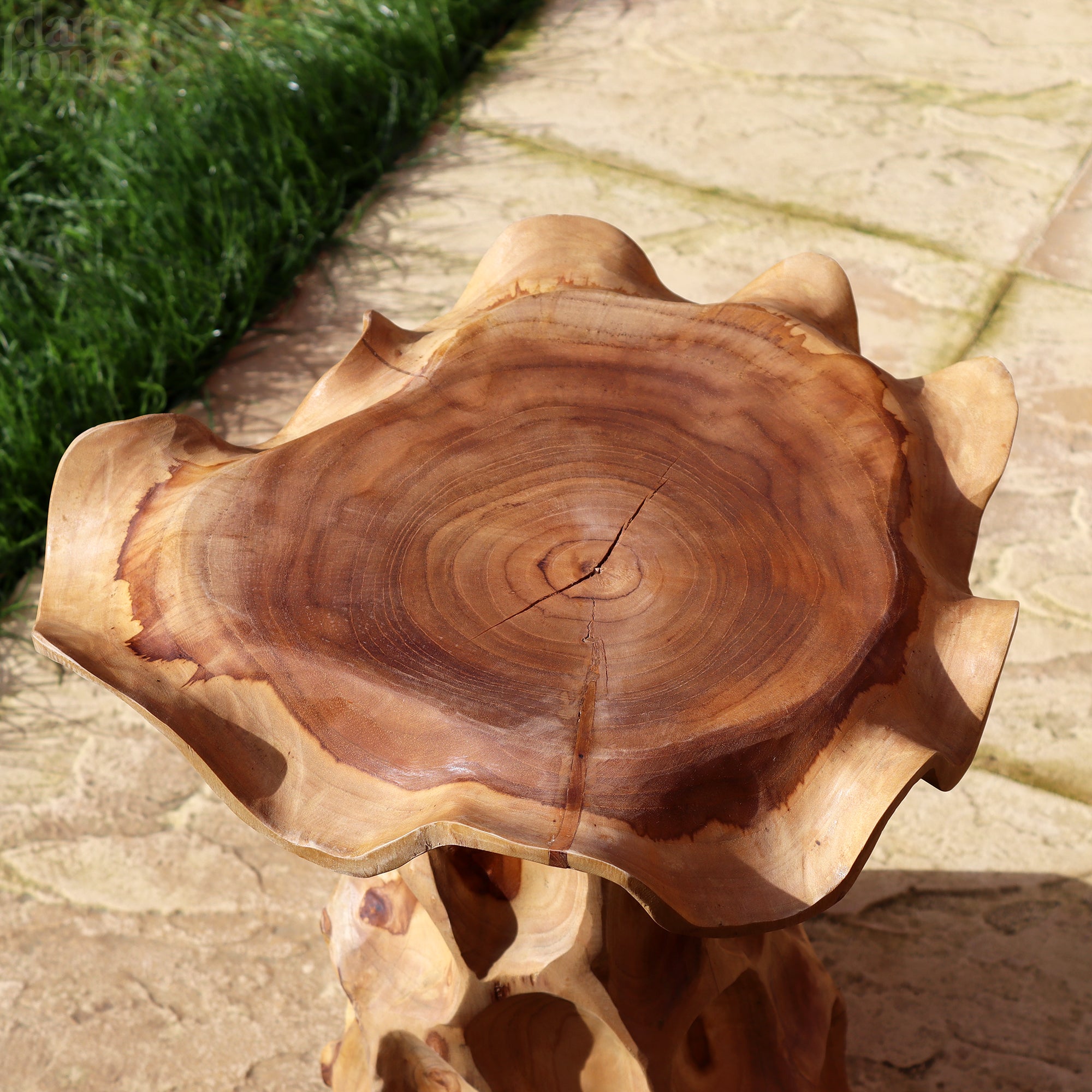Lombok Mushroom Teak Root Table