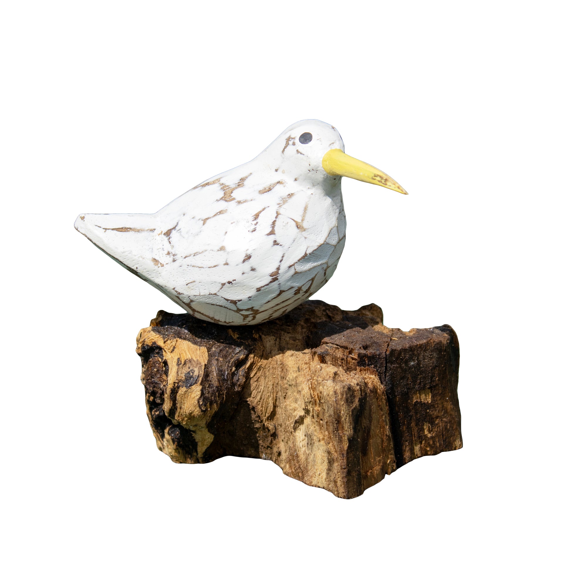 White Bool Bird On Teak Root Ornament