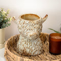 Rustic Highland Cow Head Planter