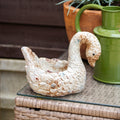 Distressed Swan Planter