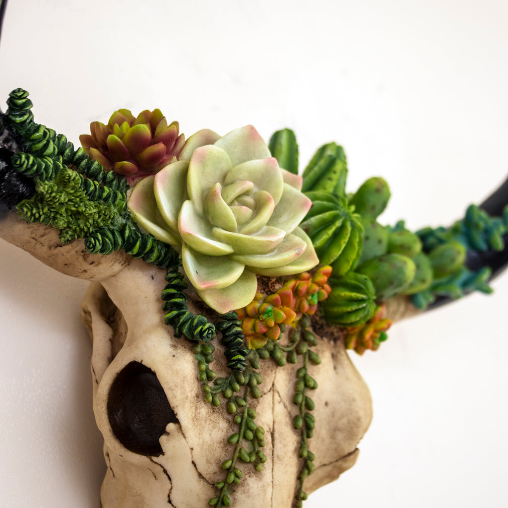 Succulent Longhorn Cow Skull Wall Decoration
