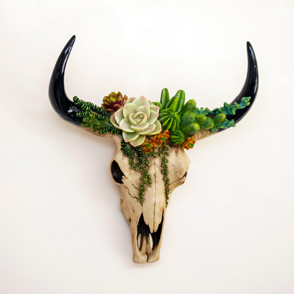 Succulent Longhorn Cow Skull Wall Decoration