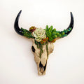 Succulent Longhorn Cow Skull Wall Decoration