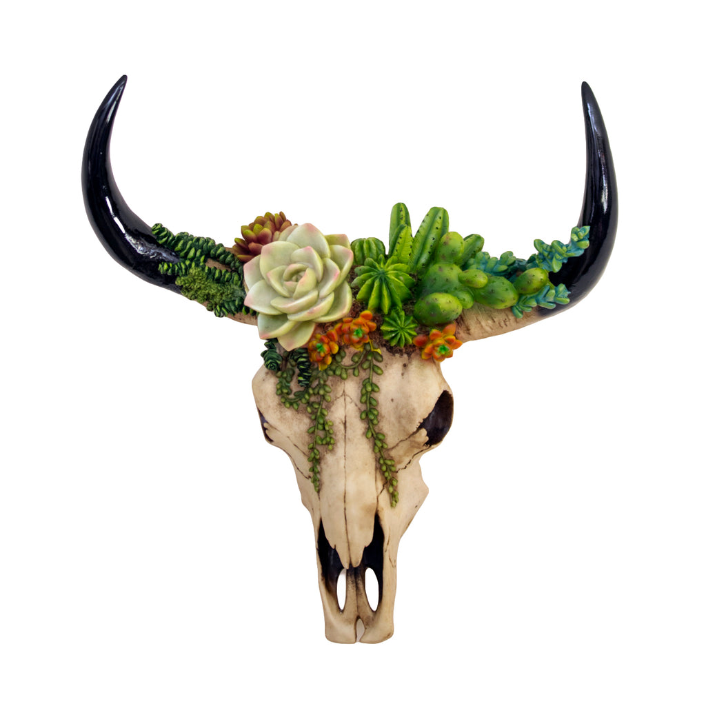 Succulent Longhorn Cow Skull Wall Decoration