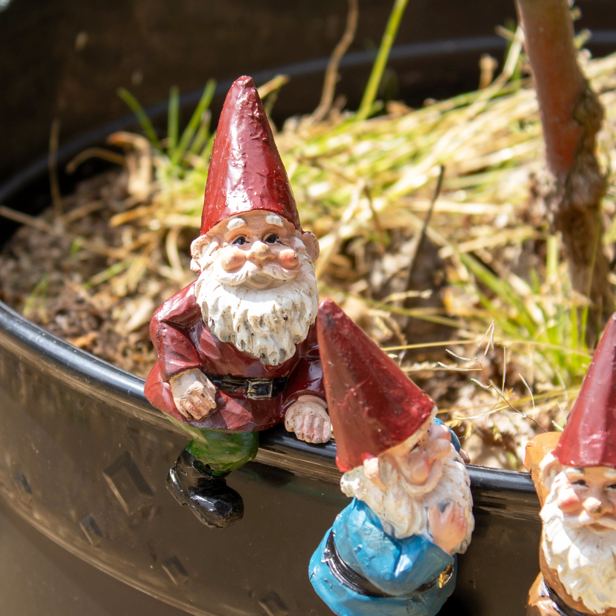 Set Of 4 Mini Gnomes Pot Hangers