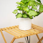 Bamboo 4 Tier Foldable Storage Rack