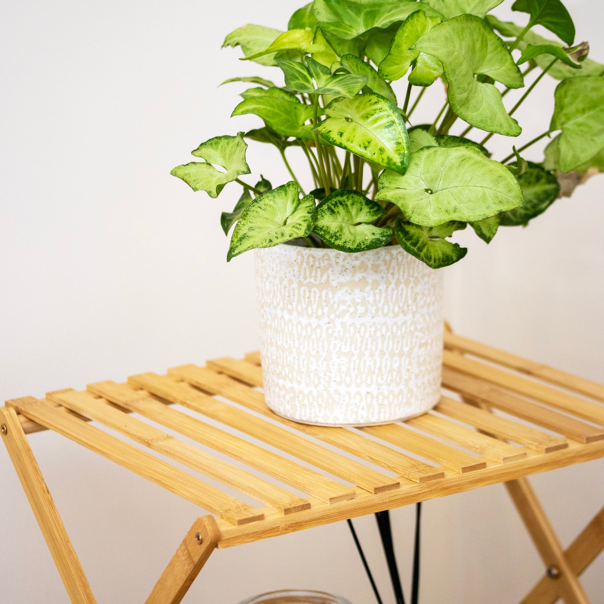 Bamboo 4 Tier Foldable Storage Rack