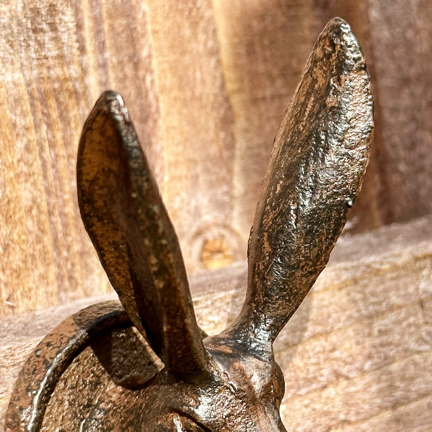 Cast Iron Hare Head Hooks