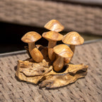 Teak Root Wavy Cap Mushroom Ornament