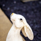 Set Of 2 White Garden Hare Ornaments