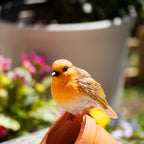 Vogelhäuschen „Robin On Plant Pot“.