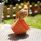 Vogelhäuschen „Robin On Plant Pot“.