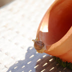 Vogelhäuschen „Robin On Plant Pot“.