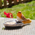 Lifelike colourful Robin perched on a silver trowel shaped tabletop bird feeder 