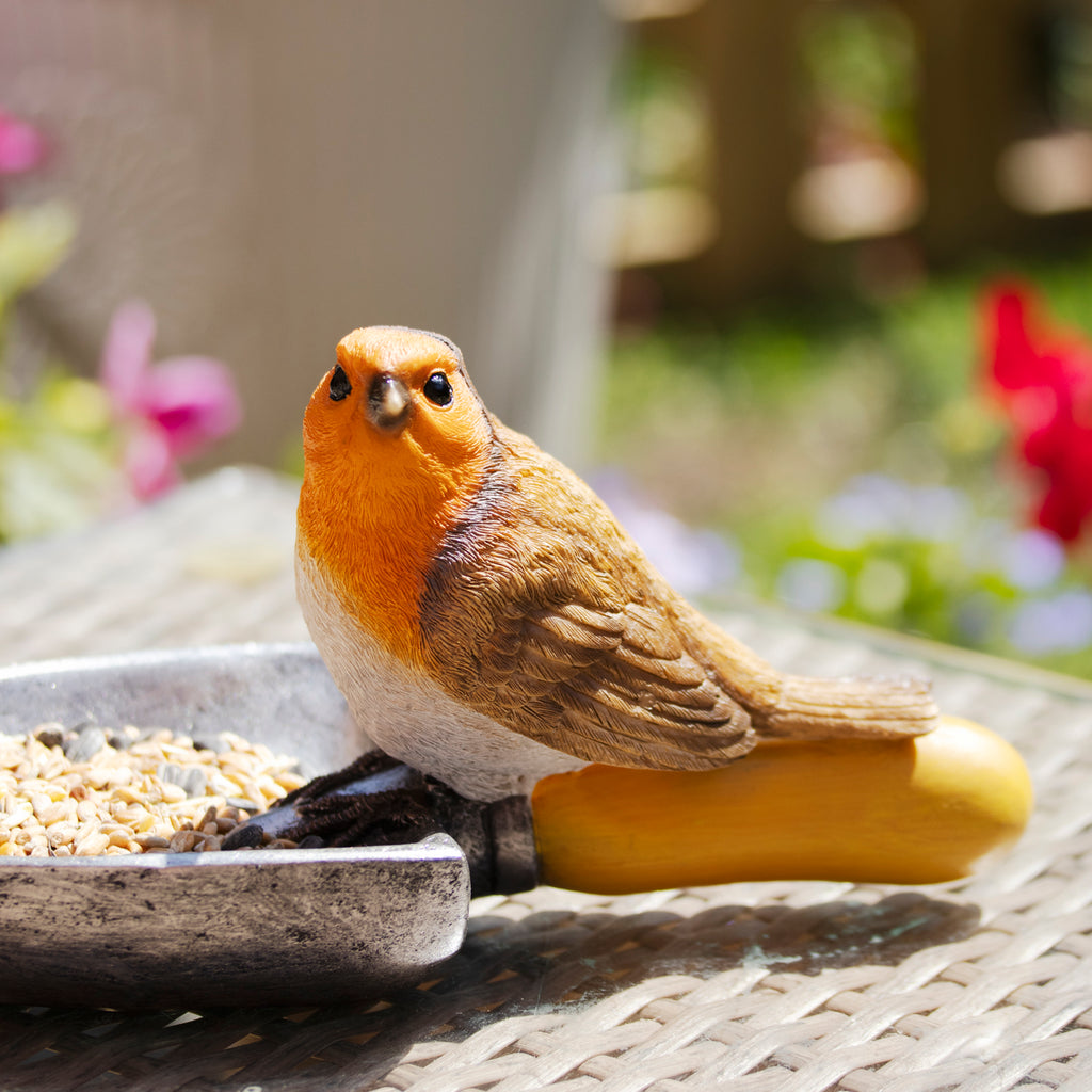 Robin On Trowel Bird Feeder