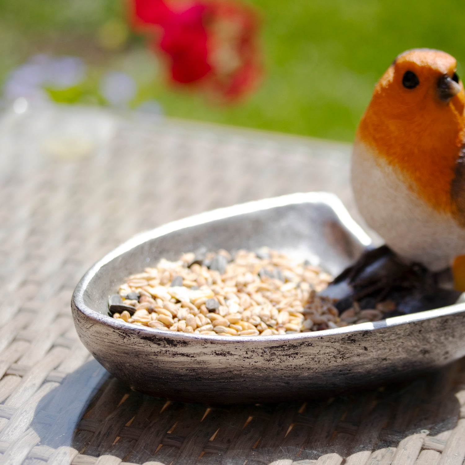 Robin On Trowel Bird Feeder