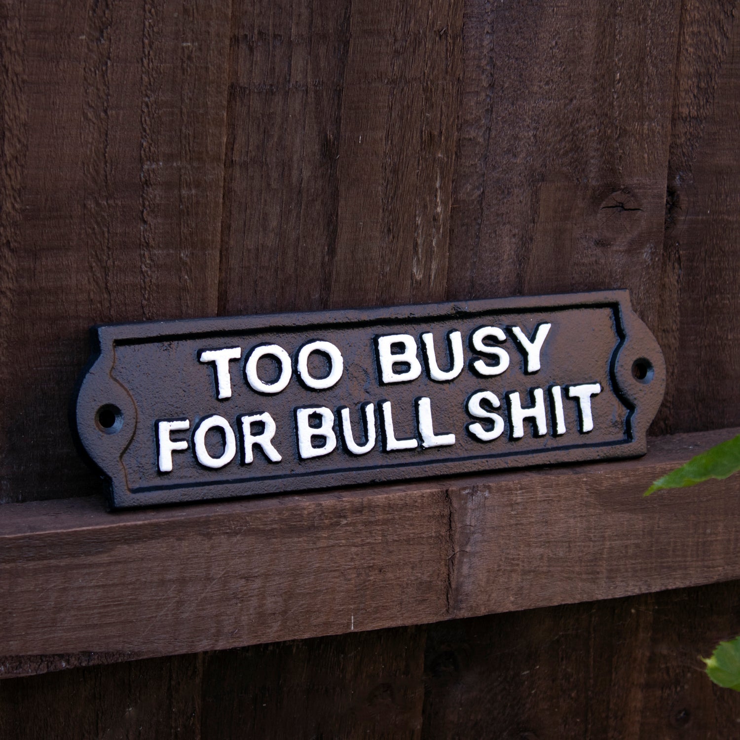 Too Busy For Bullshit Sign
