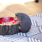 Hedgehog On Log Bowl Bird Feeder