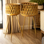 Set Of 2 Gold Metal Plant Stands