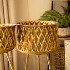 Set Of 2 Gold Metal Plant Stands
