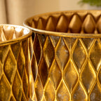 Set Of 2 Gold Metal Plant Stands