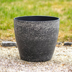 Gefleckter schwarzer Gartenpflanzer