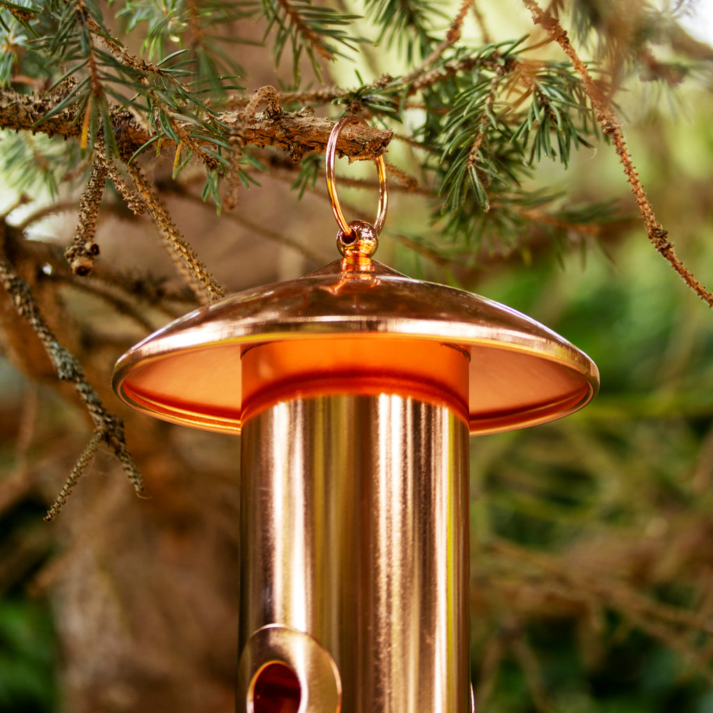 Copper Steel 6 Port Bird Seed Feeder