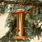 Copper Steel 6 Port Bird Seed Feeder
