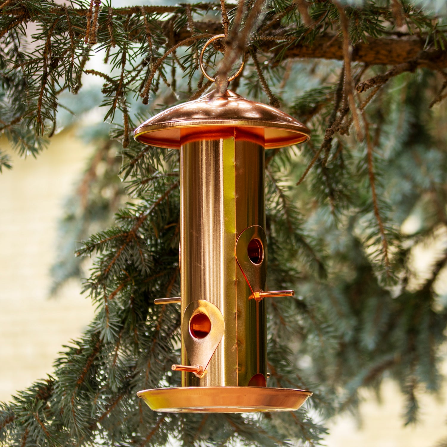 Copper Steel 6 Port Bird Seed Feeder