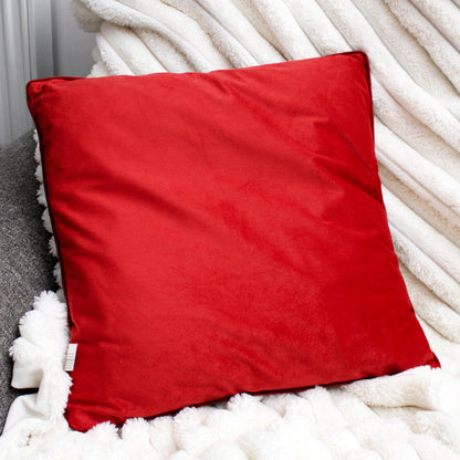 Reading Santa Claus Light Up Cushion B