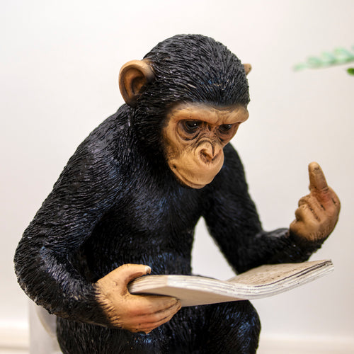 Cheeky Monkey On The Toilet Ornament