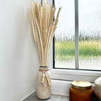 Natural Dried Pampas In Crackled Vase