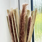 Brown Dried Pampas In Crackled Vase