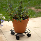Black Metal Plant Stand On Wheels