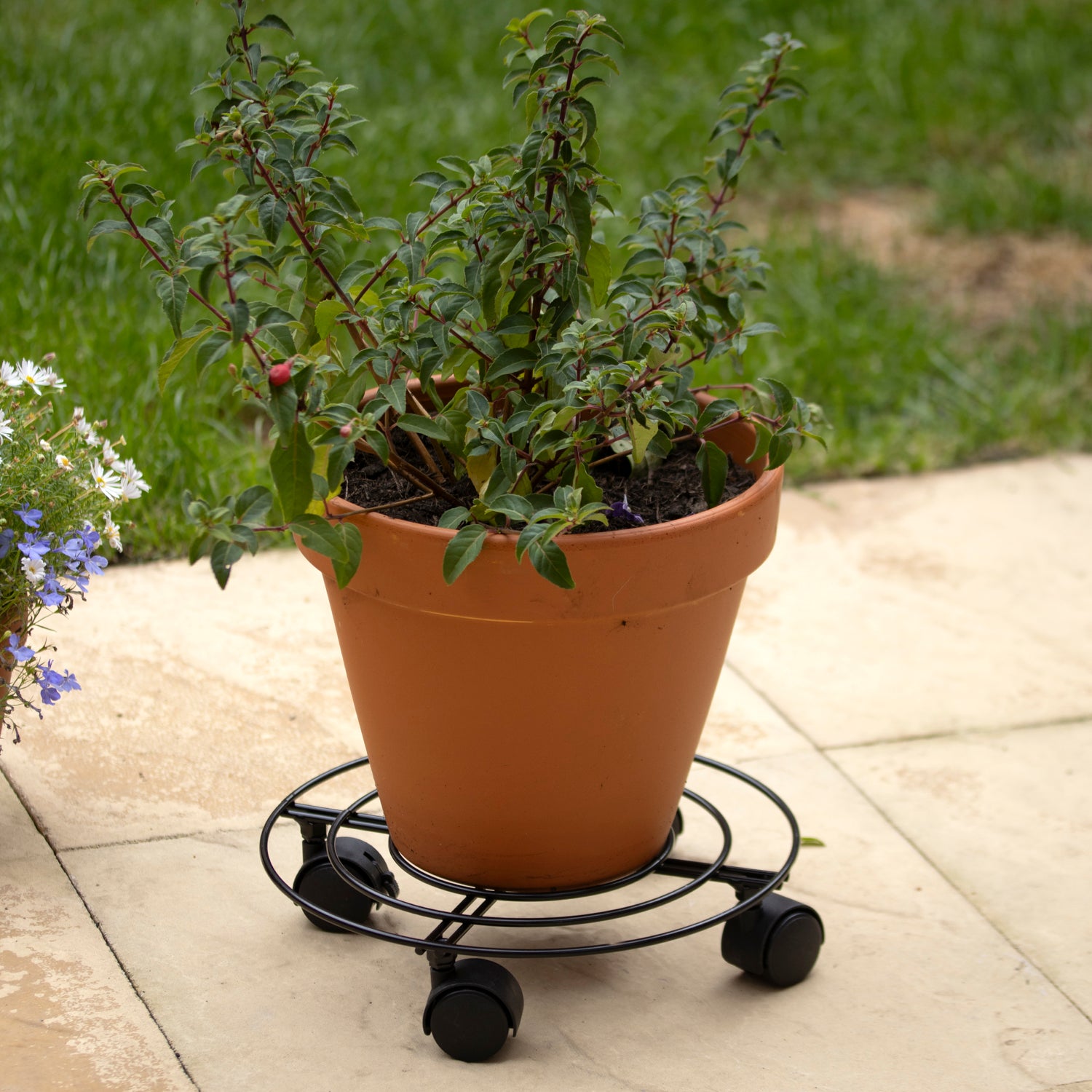 Black Metal Plant Stand On Wheels