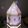Colour Changing Light Up Forest Fairy House