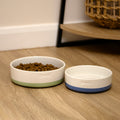 Set Of 2 Colour Dip Bone Dog Bowls
