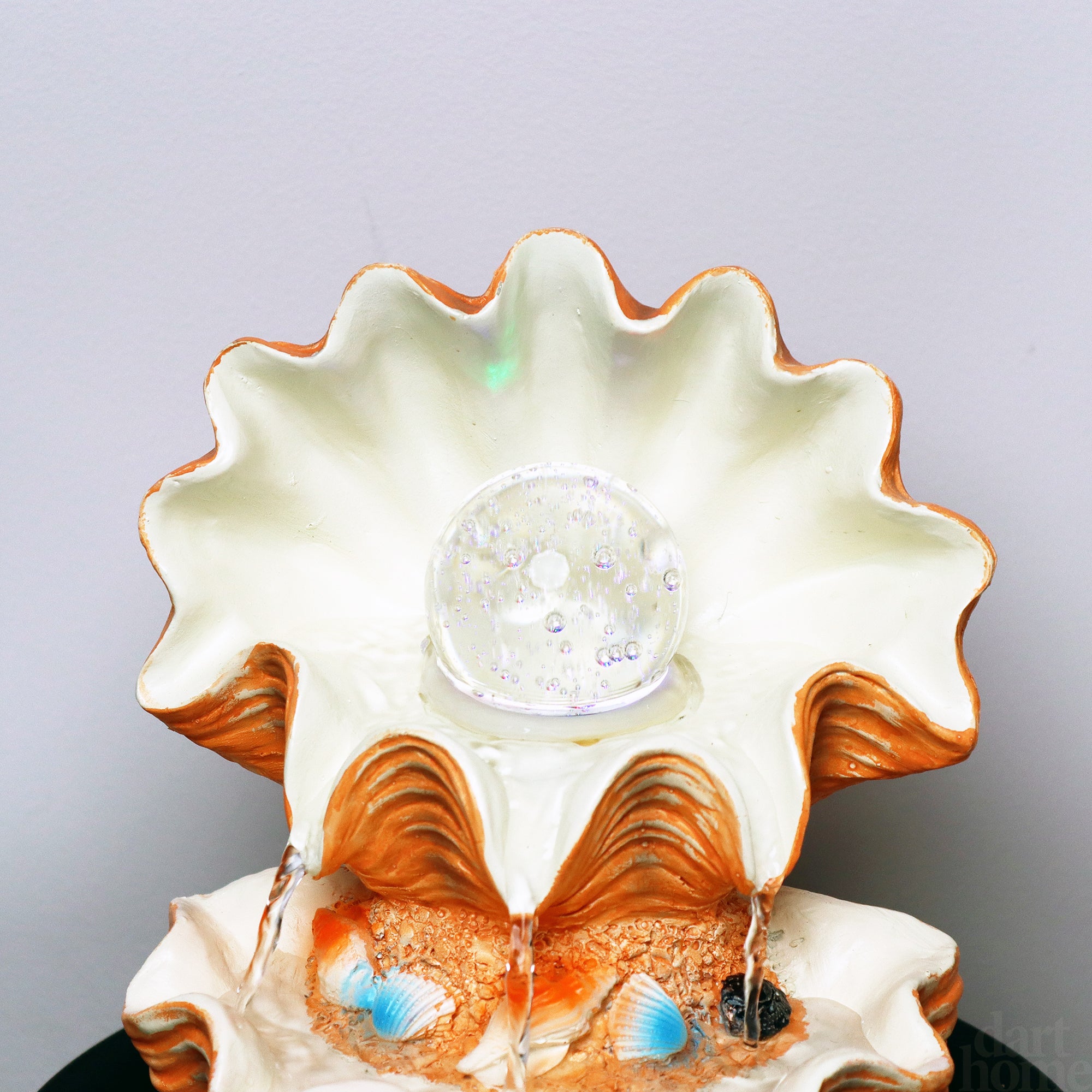 Seashell Indoor Water Feature