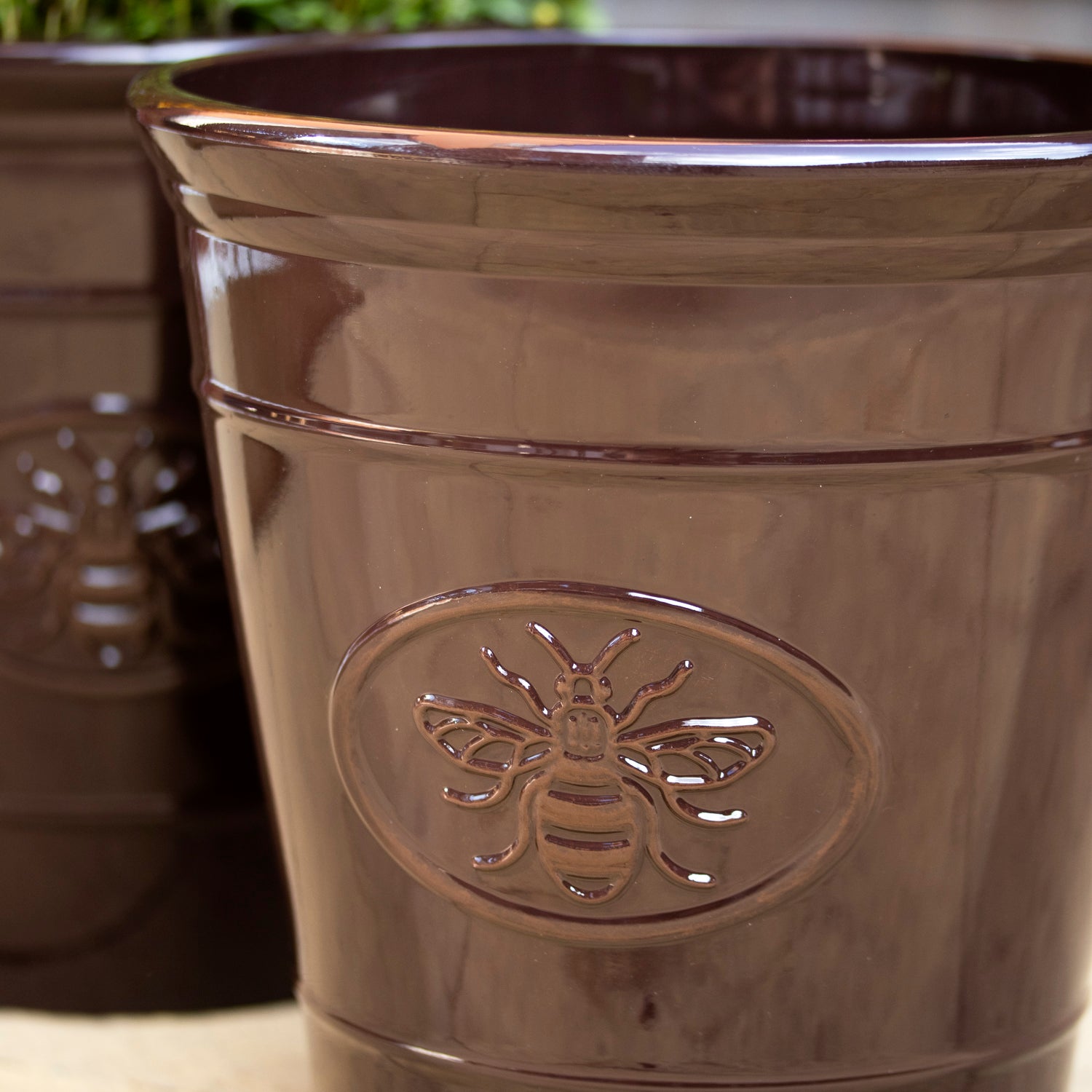 Dark Brown Embossed Bee Garden Planter
