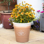 Honeycomb Embossed Bee Garden Planter