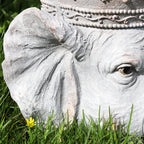 Stone Effect Crowned Elephant Planter