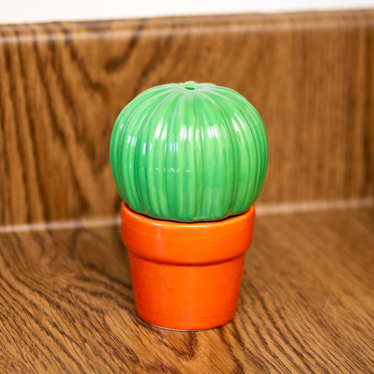 Cactus Salt & Pepper Shakers