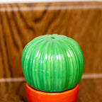 Cactus Salt & Pepper Shakers