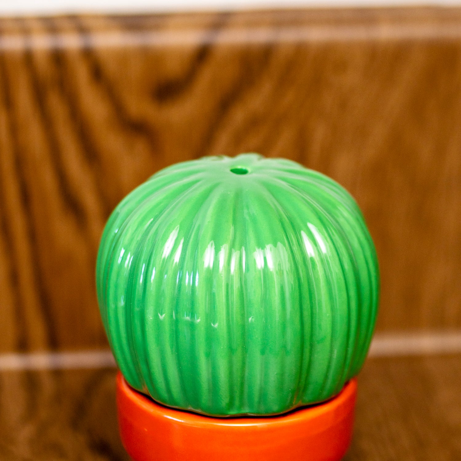 Cactus Salt & Pepper Shakers