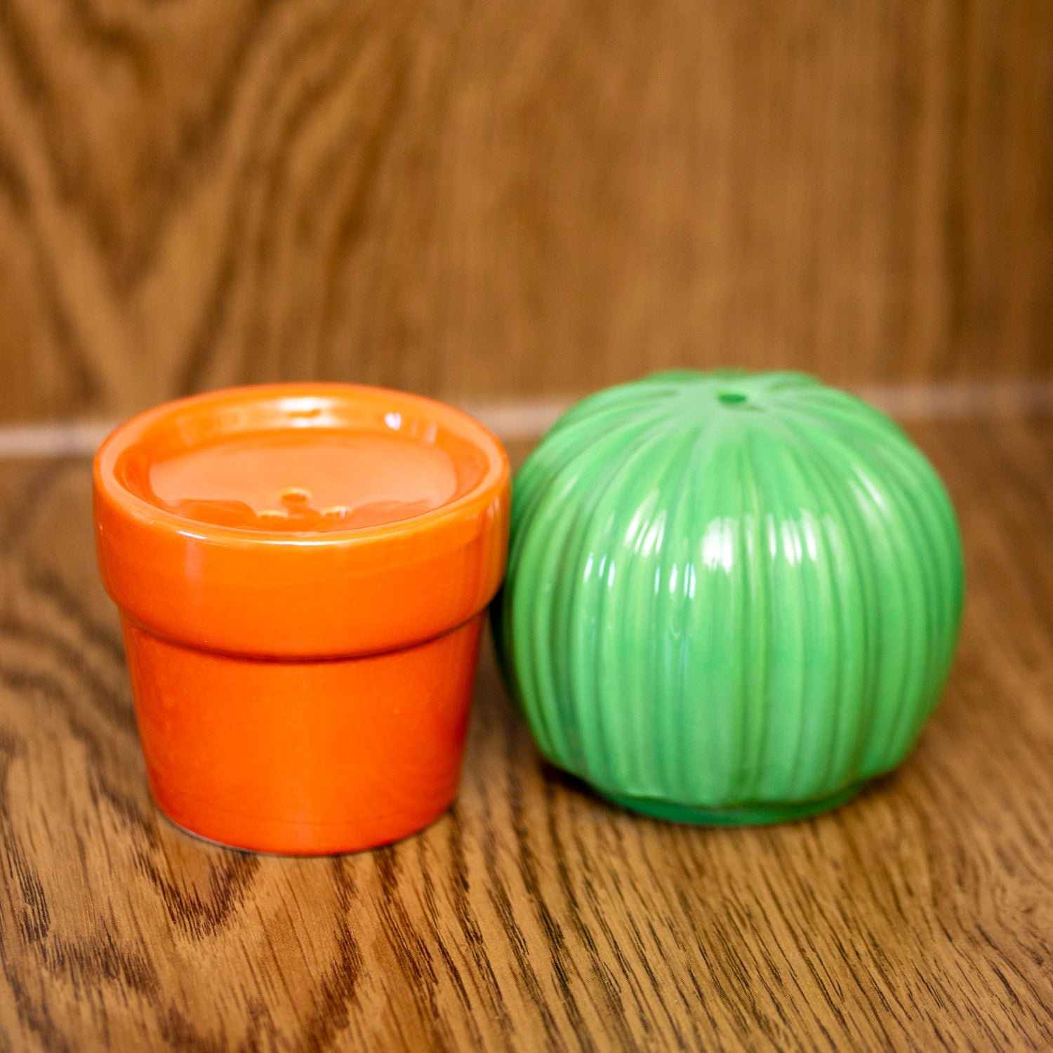 Cactus Salt & Pepper Shakers