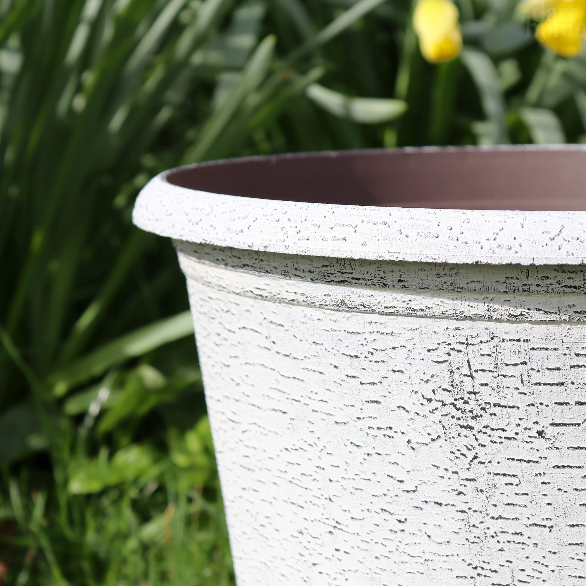 Round Frosted White Birch Wood Planter