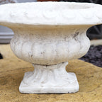 White Cement Wide Urn Planter